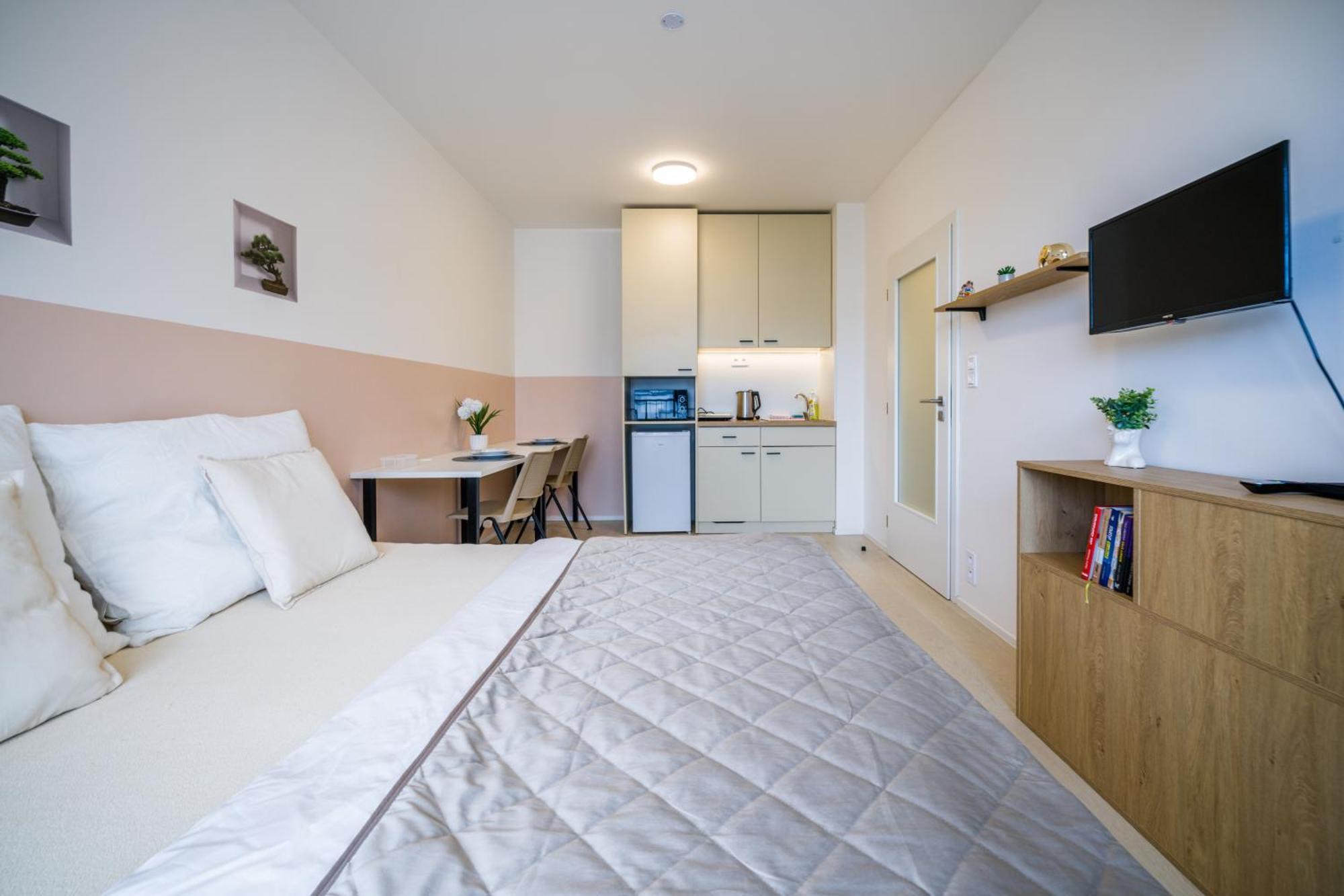 Center Apartment Brno